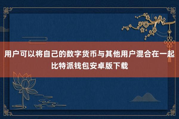 用户可以将自己的数字货币与其他用户混合在一起比特派钱包安卓版下载