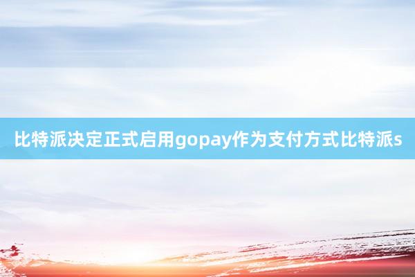 比特派决定正式启用gopay作为支付方式比特派s