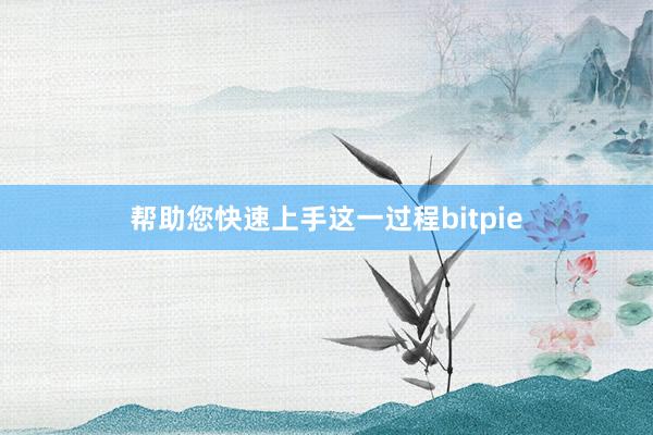 帮助您快速上手这一过程bitpie