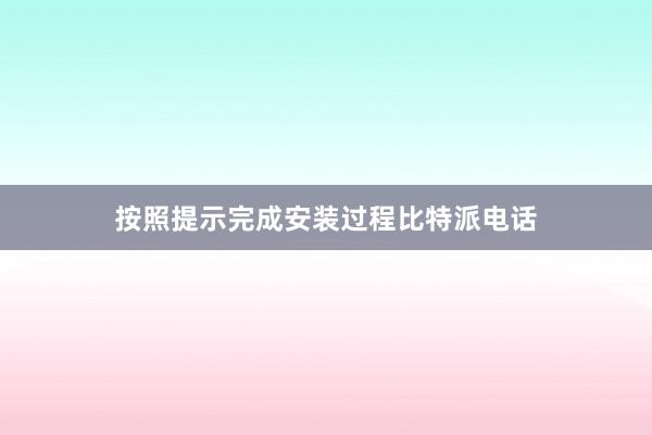 按照提示完成安装过程比特派电话