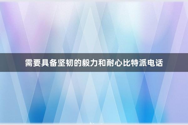 需要具备坚韧的毅力和耐心比特派电话