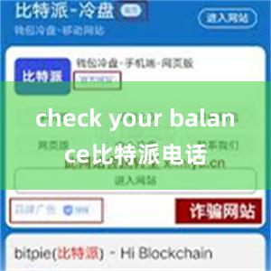 check your balance比特派电话