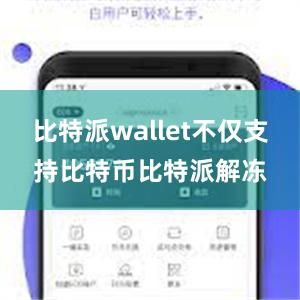 比特派wallet不仅支持比特币比特派解冻