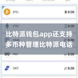 比特派钱包app还支持多币种管理比特派电话