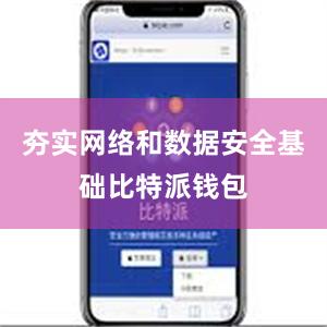 夯实网络和数据安全基础比特派钱包