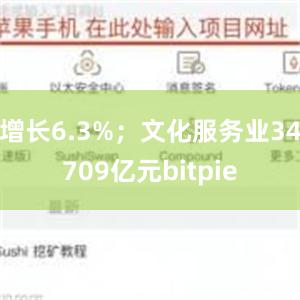 增长6.3%；文化服务业34709亿元bitpie