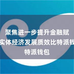 聚焦进一步提升金融赋能实体经济发展质效比特派钱包